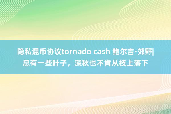 隐私混币协议tornado cash 鲍尔吉·郊野|总有一些叶子，深秋也不肯从枝上落下