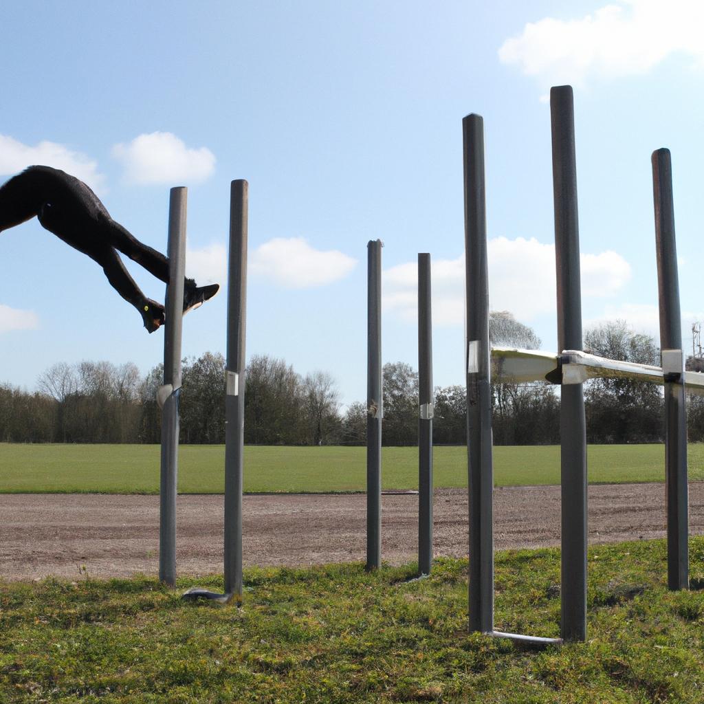 Person jumping over a hurdle