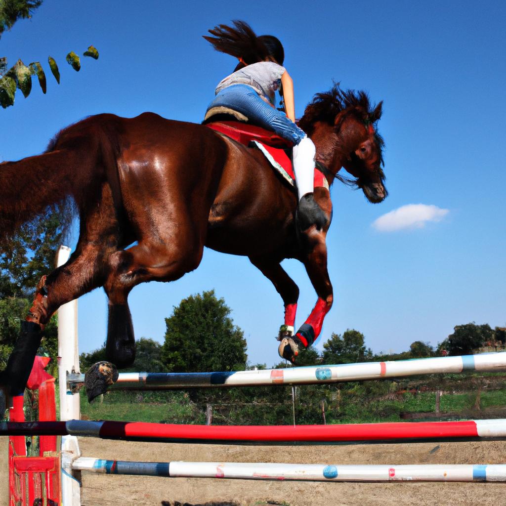 Person riding a horse, jumping