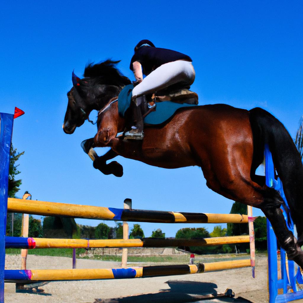 Person riding a horse over jumps