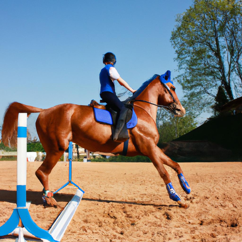 Person performing equestrian vaulting exercises